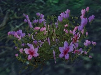 A cluster of luminous Mageroyal flowers glowing faintly amidst the verdant wilderness of World of Warcraft, their otherworldly radiance hinting at their potent arcane properties.